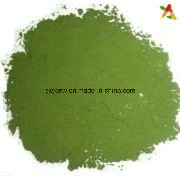 Natural, roto, célula, pared, Chlorella, polvo